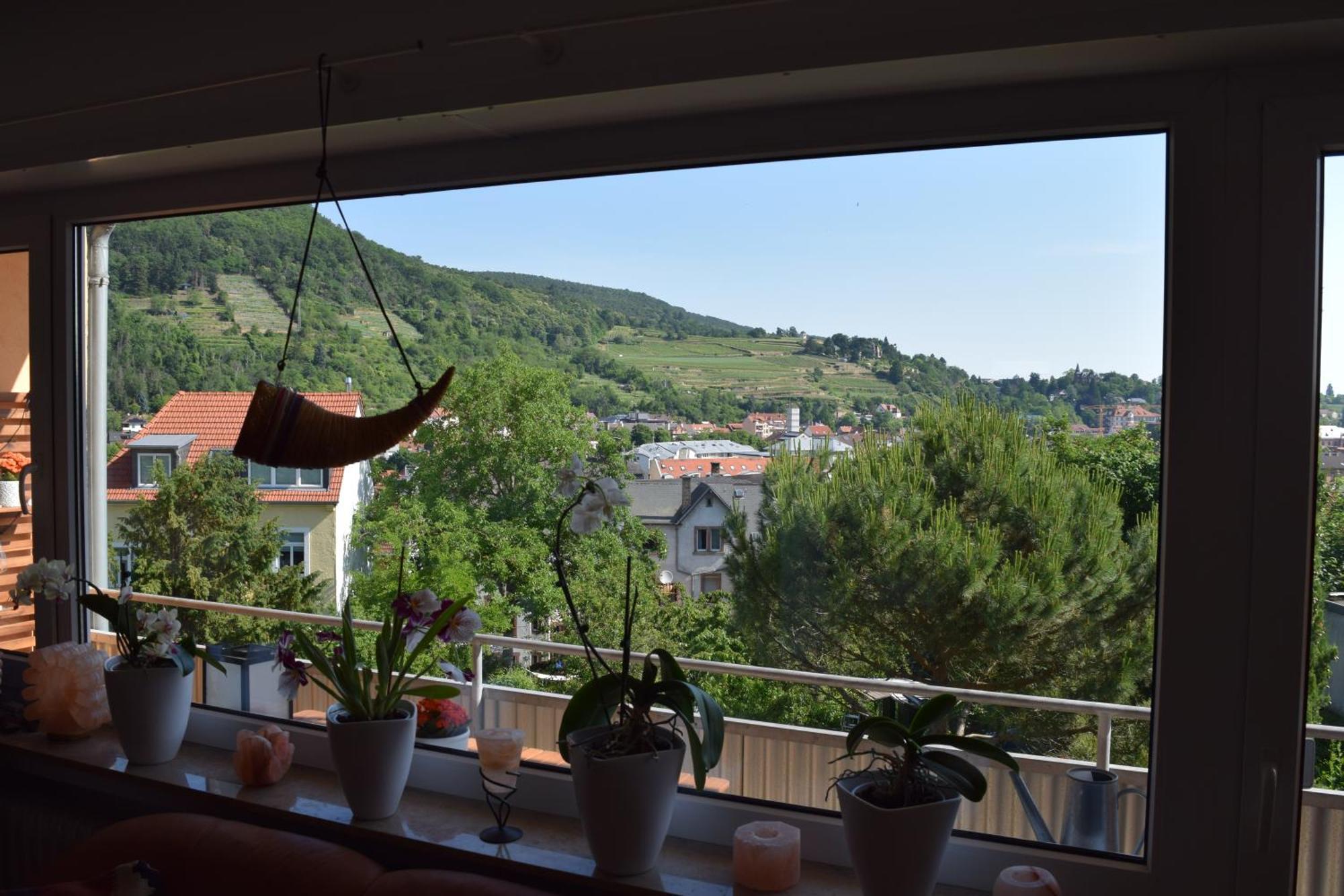 Ferienwohnung Ruth Neustadt an der Weinstraße Exteriér fotografie